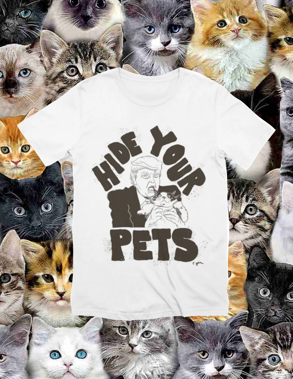 HIDE YOUR PETS